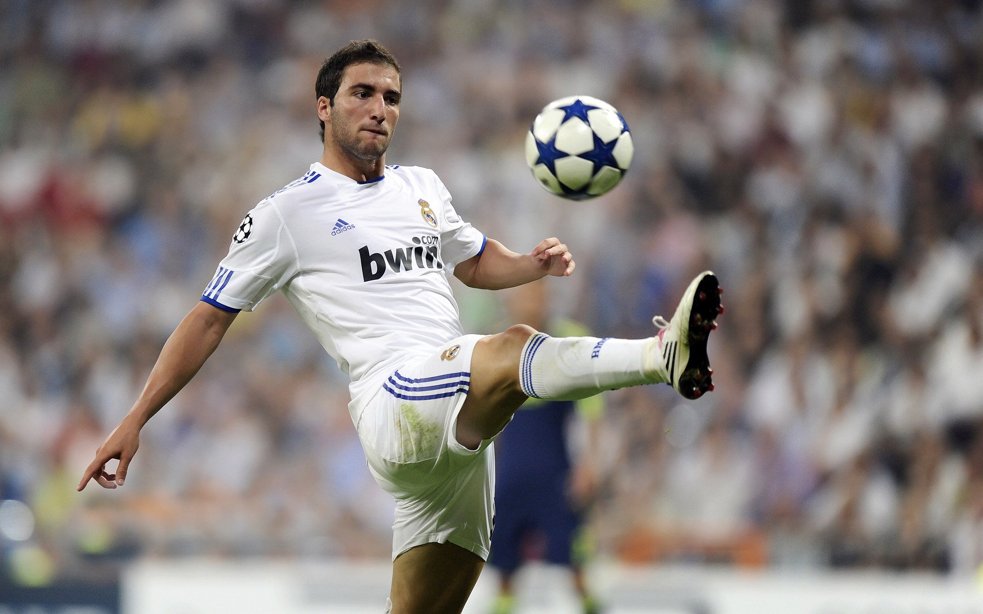 贝恩的沉默与轰鸣，当开拓者遇见上海，篮球在两种文明间炸裂